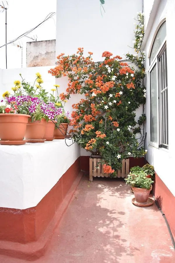 Veedor 12 Apartment Cadiz