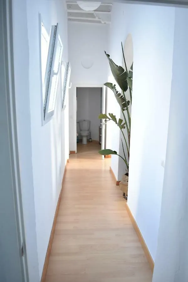 Veedor 12 Apartment Cadiz