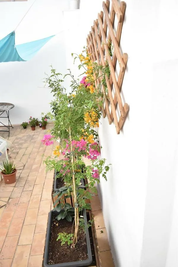 Veedor 12 Apartment Cadiz 0*,  Spain